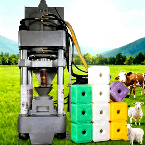 Prensa Hidráulica Servo de Columna Única Personalizable de 500 Toneladas con Bomba de Motor de Alta Precisión para Bloques de Sal Mineral Animal - Product Image 1