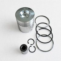 Kit de pistons FL912 pour moteur diesel de machines de construction Deutz, pièces détachées 912, kit de pistons 0213 6952 0223 3074 0337 1660