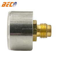 Factory Direct 0-0.25MPa 25mm Mini Stainless Steel Pressure Gauge with Brass Thread M10*1
