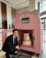 Máquina de Lavado de Mascotas con Burbujas de Hidrógeno, Secado Rápido, Estación de Spa para Perros y Gatos, Uso Profesional en Hospitales de Mascotas