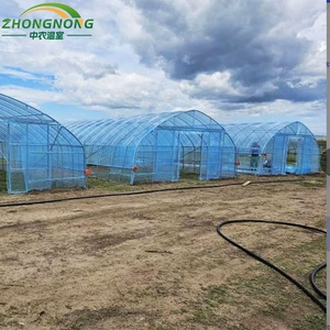 <span class=keywords><strong>Serre</strong></span> tunnel en film plastique PE double couche à simple travée, <span class=keywords><strong>serre</strong></span> agricole pour la culture de légumes - Product Image 6