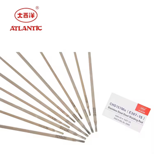 ATLANTIC 2024 Prix usine Électrode <span class=keywords><strong>de</strong></span> soudage flexible en plastique solide standard CHS157Mn E307-15 pour fonte, 5kg ISO9001 - Product Image 6