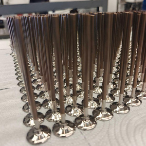 Soupape de moteur en titane équilibrée pour des applications moteur efficaces, avec une structure durable et une fonctionnement stable - Product Image 1