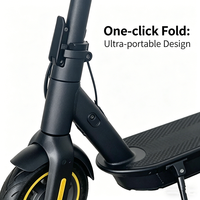 Vente en gros de trottinettes électriques tout-terrain pour les plus de 12 ans, avec pneus de 10 pouces pour l'herbe, le gravier et le pavé