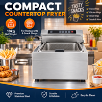Friteuse verticale de table pour poulet frit, frites, jambon et saucisses