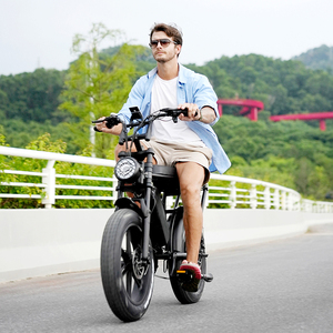 Vélo électrique tout-terrain OUXI V8 1000w, vélo à pneus larges 750w, vélo de plage, vélo électrique - Product Image 1