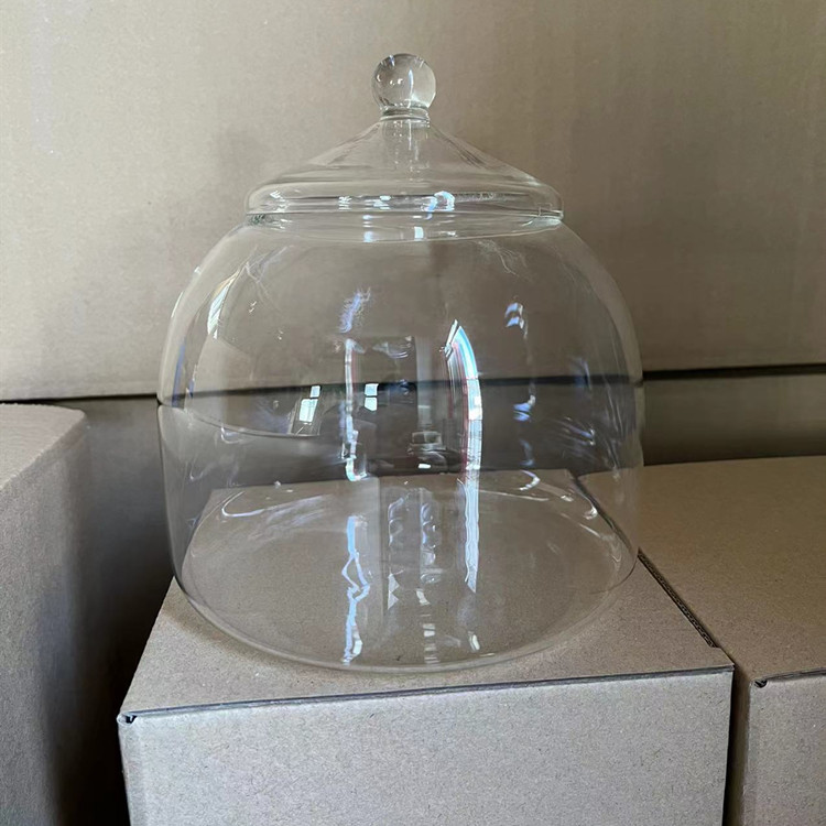 aquaponics glass modern morning