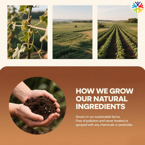 Tisane Détox Naturelle d'Usine, Décaféinée, Minceur, Curcuma, Gingembre, Cannelle, Compléments Digestifs pour Adultes - Product Image 4