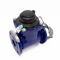 Compteurs d'eau prépayés à sortie d'impulsion DN50 & DN600 pour boire et refroidir la protection IP68 OEM personnalisable