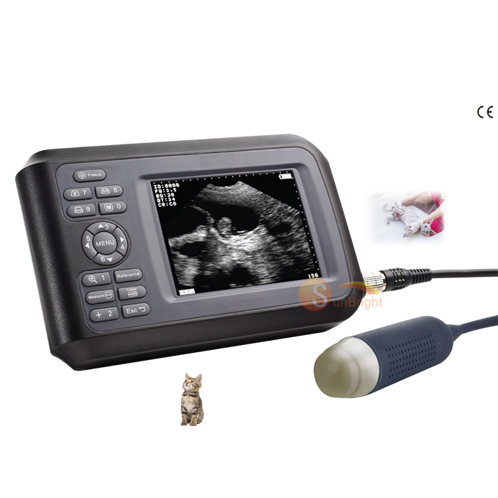 Portable Vital Signs Patient Monitor 6