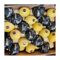 Fruits Citronnés - Certifiés ISO, Oranges et Citrons Frais d'Origine Chine, Emballés en Ferme, Taille 65-100 cm, Qualité Supérieure, Vrac/Carton, Durée de Conservation 1 An