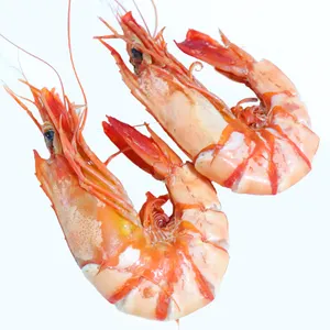 wholesale sell bulk frozen shrimp dried Prawns Shrimps
