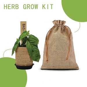 Kit de Productos para Jardín Interior para Plantas y Flores, Kit de Inicio para Cultivo de Vegetales - Product Image 2
