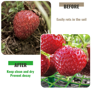 Supports pratiques pour fraises, treillis de jardinage vert, <span class=keywords><strong>support</strong></span> de plantes grimpantes, <span class=keywords><strong>support</strong></span> de fleurs de jardin - Product Image 2