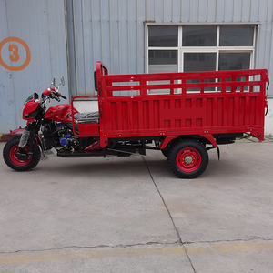 Tricycle de livraison à <span class=keywords><strong>3</strong></span> roues avec benne ouverte, moteur essence <span class=keywords><strong>300cc</strong></span>, tricycle cargo motorisé à vendre - Product Image 3