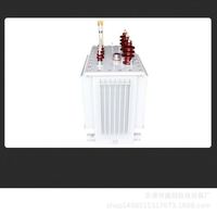Transformateur de puissance immergé dans l'huile Yaoyi 1000 kVA 10 kV/0,4 kV S9 haute efficacité 50/60 Hz pour la distribution d'énergie triphasée industrielle