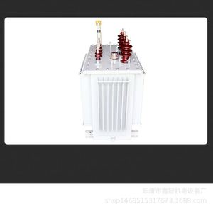 Transformador de Potencia Sumergido en Aceite Yaoyi 1000kVA 10kV/0.4kV S9 de Alta Eficiencia 50/60Hz para Distribución de Energía Trifásica Industrial - Product Image 3
