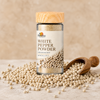 Poudre de poivre blanc en vrac, épices moulues fines, fournisseur pour la restauration, vente en gros et emballage personnalisé