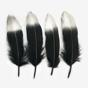 Plumes d'oie dorées en gros pour le bricolage, 17-22 cm, motif teint pour décorations de chapeaux - Product Image 6