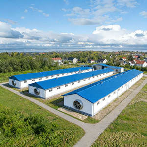 Casas Prefabricadas para Aves de Corral, Estructura de Acero, Totalmente Automatizadas, Gallineros - Product Image 1