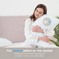 Lit ferme fermeture éclair literie taies d'oreiller Cool bambou tissu grand Gel de refroidissement cervical infusé bleu forme de mémoire mousse cou oreiller Cool