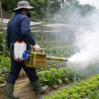 Machine de nébulisation thermique portable 120K, pulvérisateur de brouillard, lutte antiparasitaire contre les moustiques, désinfection, nébulisateur pour l'agriculture et la santé publique
