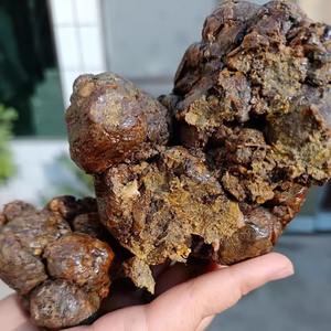 Fournisseur de plantes médicinales chinoises, propolis <span class=keywords><strong>d</strong></span>'<span class=keywords><strong>abeille</strong></span> brute, propolis verte naturelle à vendre - Product Image 2