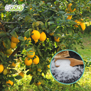 Polymer de stabilisation <span class=keywords><strong>du</strong></span> sol agricole, <span class=keywords><strong>acheter</strong></span> <span class=keywords><strong>du</strong></span> polyacrylate de potassium pour les plantations de vergers - Product Image 2