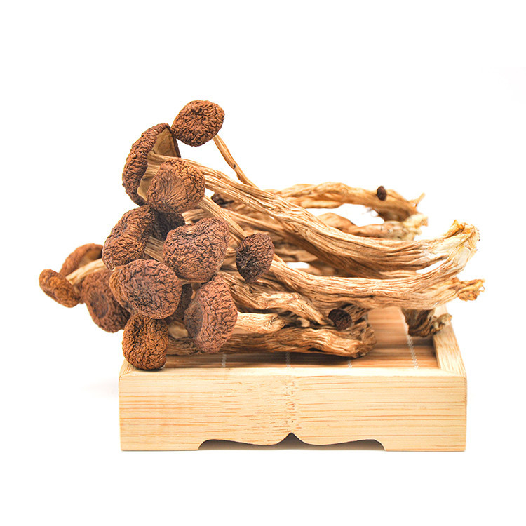 Buy Wholesale Natural Food Agrocybe Aegirit Dried Tea Tree Mushroom Sorthern Polar Mushroom