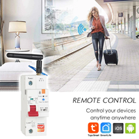 Pemutus Sirkuit Cerdas Tuya WiFi Pengukur Energi, Kontrol Jarak Jauh Aplikasi Smart Life, Pengatur Waktu, Penutupan Otomatis, DIN Rail MCB