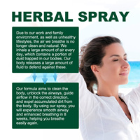 Googeer Congestion du nez Rhinite Sinusite Traitement Organique Jetable Herbal Body Cleanse Repair Spray Nasal