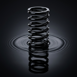 Ressort de compression, d'extension et de torsion OEM personnalisé, <span class=keywords><strong>fil</strong></span> de 0,1 mm à 8,0 mm, acier de précision, fournisseur d'usine de métal industriel CNC - Product Image 5