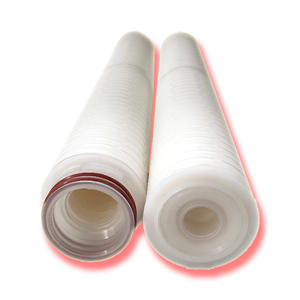 0.22 Micron Double Pes Pleated Membrane <b>Filter</b> Element for Sartorius <b>Filter</b> Replace - Product Image 5