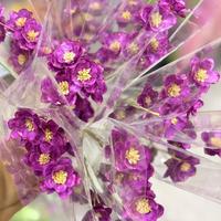 Fabrik-Großhandel Handgefertigte Echte Getrocknete Silberglockenblumen für Boho-Heimdekoration & Hochzeits-Blumenarrangements