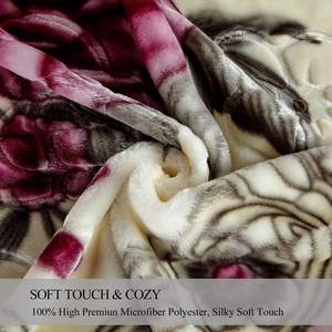 الدافئة سميكة الكورية المنك المطبوعة أفخم الآسيوية الصوف راشيل بطانية سرير - Product Image 6