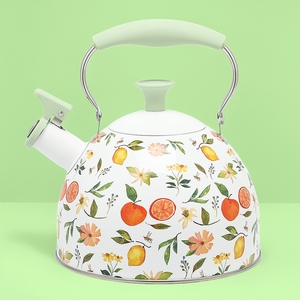 2.5L thép không gỉ huýt sáo Ấm đun nước hiện đại nhà bếp Bếp cảm ứng bếp hàng đầu trà nồi nước ấm trà với thiết kế <span class=keywords><strong>in</strong></span> - Product Image 1