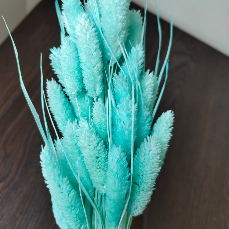 Azul Tiffany