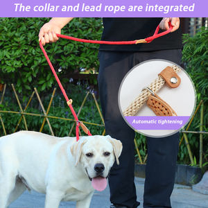 Correa de perro de alta calidad, cuerda antideslizante, correa de nailon impermeable para perro, correas de plomo de entrenamiento sin tirones para perros medianos, grandes y pequeños - Product Image 4