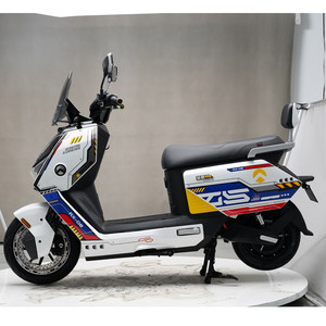 Motocicleta Eléctrica Personalizable Directo de Fábrica, Servicio OEM/ODM, Múltiples Estilos, Se Busca Inversión - Product Image 1
