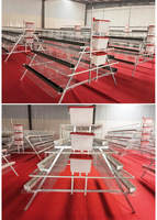 Cage à poules pondeuses de type A, équipement de batterie d'élevage avicole pour poules pondeuses, 3/4 niveaux, dimensions pour ferme