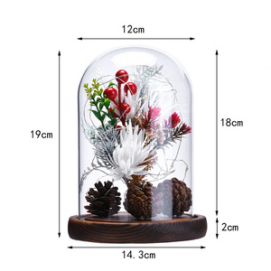 Mini <span class=keywords><strong>arbre</strong></span> de noël floqué pour Table avec lumières, <span class=keywords><strong>arbre</strong></span> à bouteille à piles avec dôme en verre - Product Image 2
