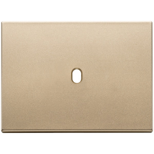 Placa de Puerta Vintage en Oro Satinado de 12.5x9.5 cm con Orificio para Llave - Product Image 1