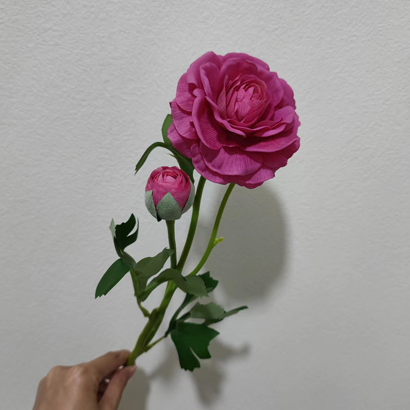 fuchsia