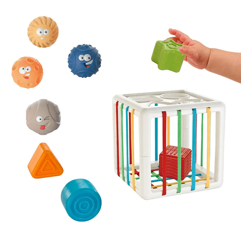 2 in 1 Baby Toy Montessori Sensory Games for Baby 6 9 12 18 Months Shape Sorter with Textured Balls Sensory Balls Activity