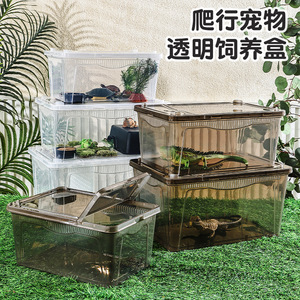 Reptile enclosure, reptile terrarium, spider, horned frog, gecko <b>box</b>, lizard, pet snake, scorpion, insect food bowl, water bowl - Product Image 4