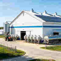 Bâtiment moderne pour élevage de bovins et de volailles en structure acier préfabriquée avec système d'élevage automatisé