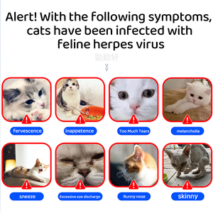 Mèo <span class=keywords><strong>herpes</strong></span> virus Type-1 AG nhanh chóng kiểm tra (fhv Ag) cho mèo - Product Image 2