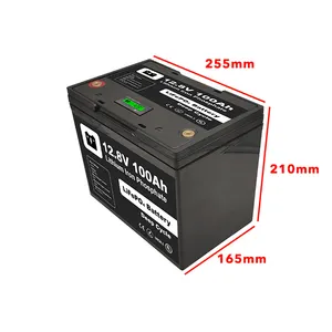 Lifepo4-paquete de baterías prismáticas de 12v y 100Ah, con carcasa de ABS, batería de iones de litio Narada