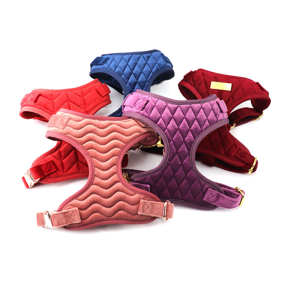 Vert Brun foncé Orange Argent