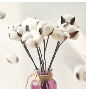 Décoration de mariage en gros, fleurs préservées, 100% naturelles, respectueuses de l'environnement, longue durée de <span class=keywords><strong>vie</strong></span> - Product Image 2
